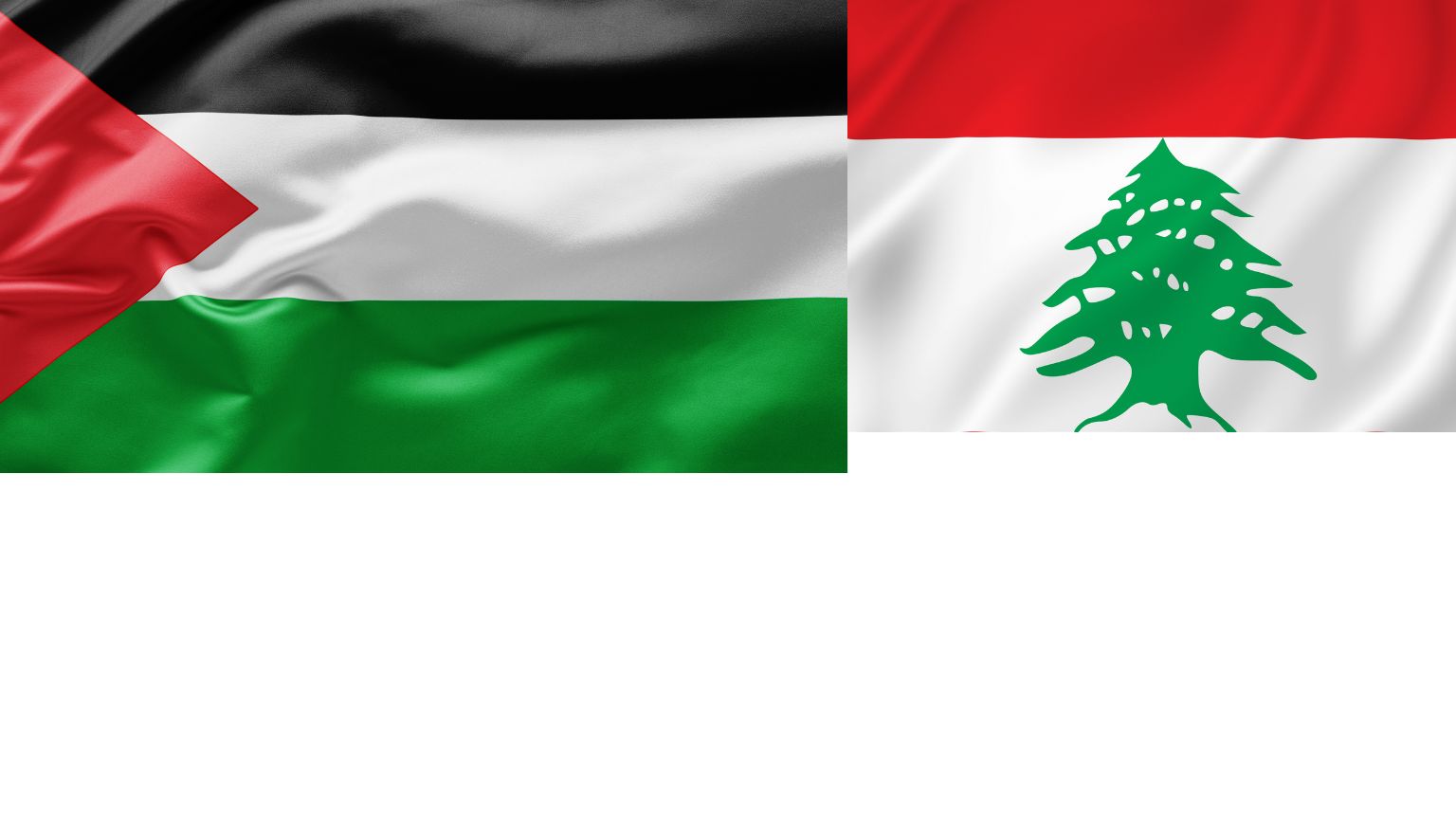 ALDA Condemns the ongoing human rights violations in Palestine and Lebanon, and Calls for an immediate ceasefire