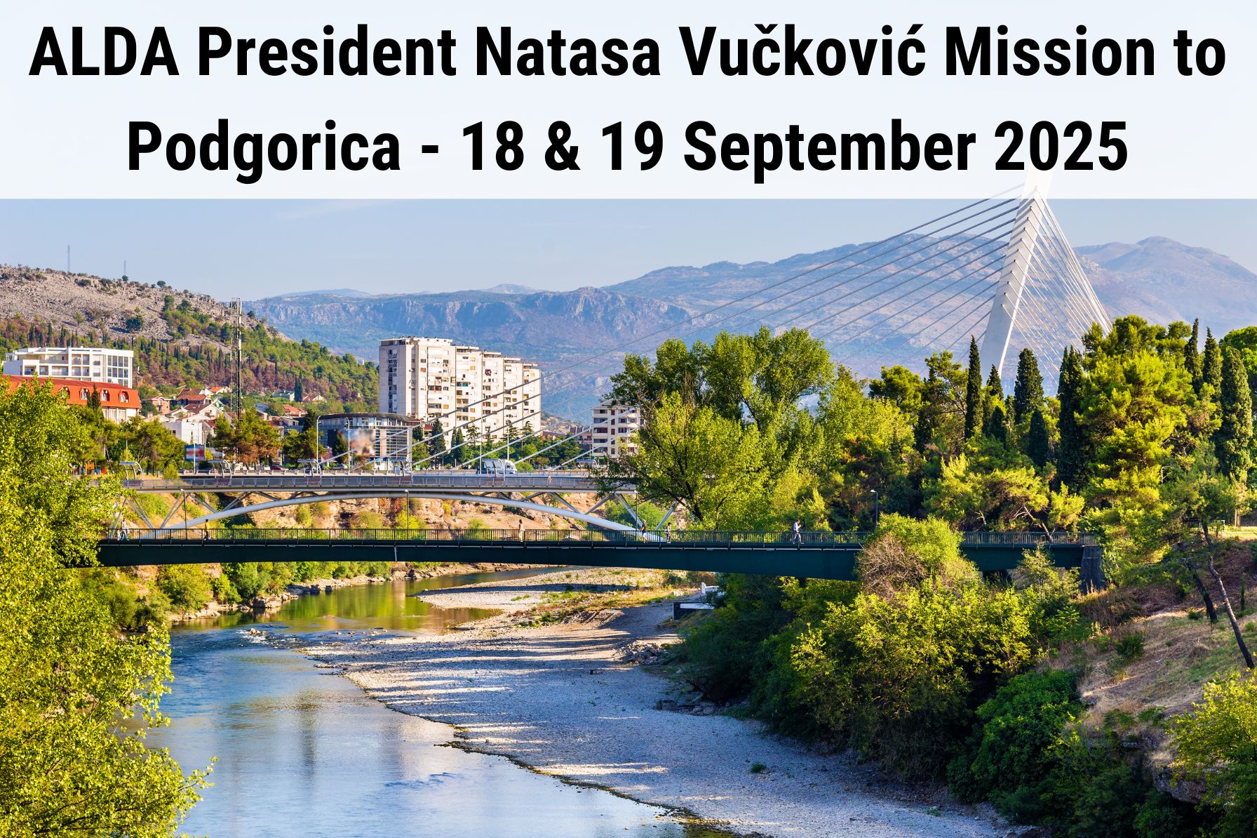 ALDA Mission Podgorica Montenegro 2025