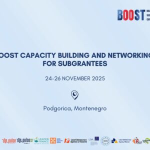 BOOST Capacity Building
