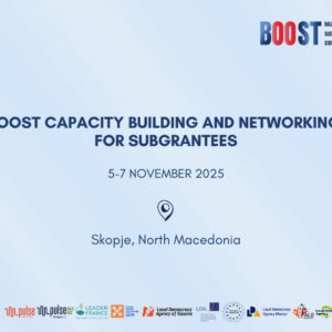 BOOST Capacity Building